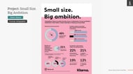 Klarna: Small Size. Big Ambition. Infographic